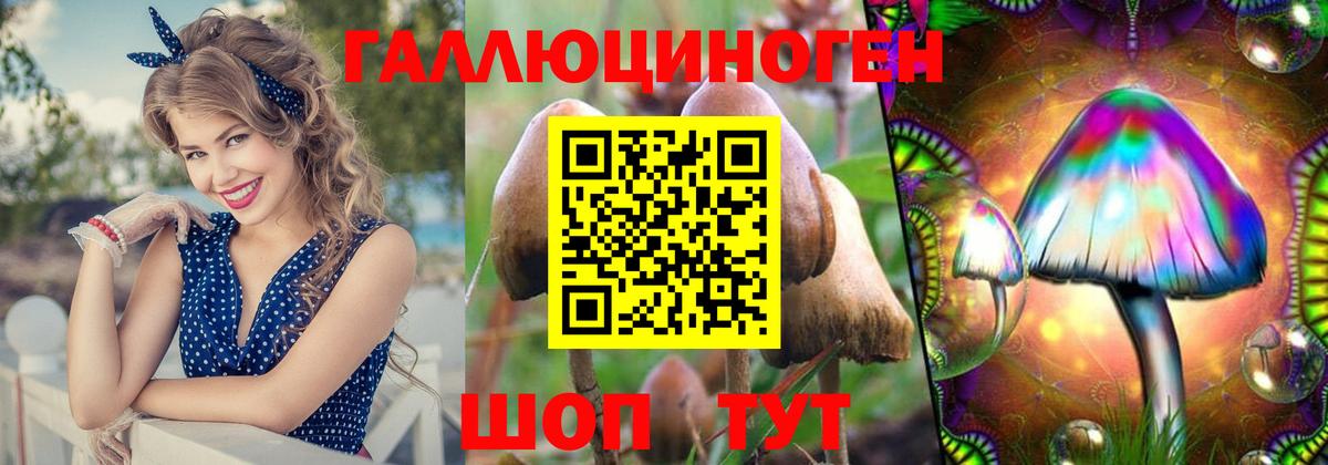 Псилоцибиновые грибы мицелий Нижнекамск